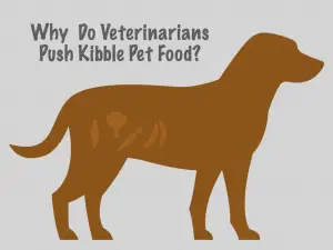 Why Do Veterinarians Push Kibble Pet Food?